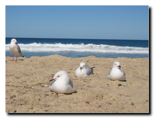 025 Meins Meins Meins